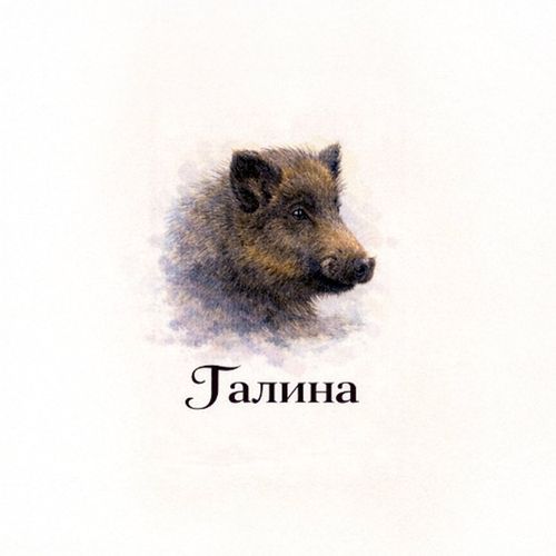 Кабан Галина.jpg — Картинки для брелков / Разное, обои скачать бесплатно