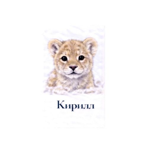 Кирилл Львенок.jpg — Картинки для брелков / Разное, обои скачать бесплатно