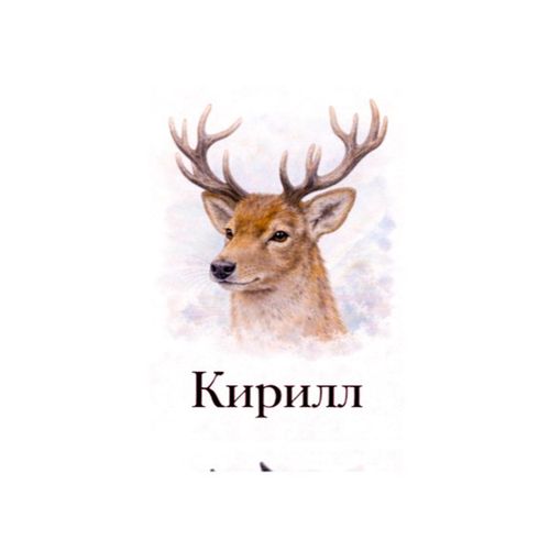 Кирилл Олень.jpg — Картинки для брелков / Разное, обои скачать бесплатно