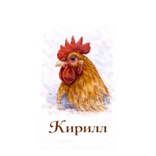 Кирилл Петух.jpg — Картинки для брелков / Разное, обои скачать бесплатно