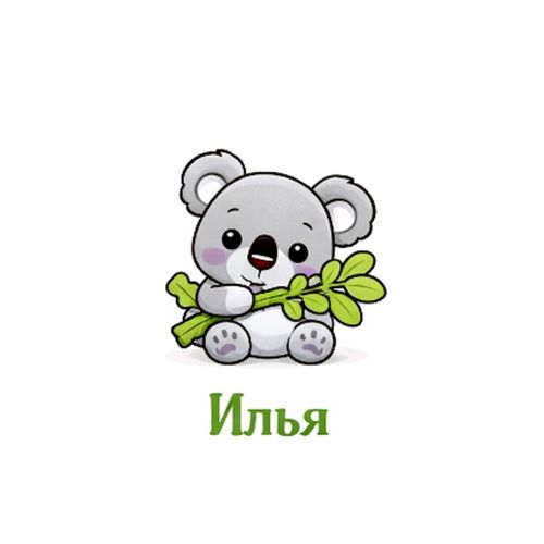 Коала С Листьями.jpg — Картинки для брелков / Разное, 2072×2072, обои скачать бесплатно