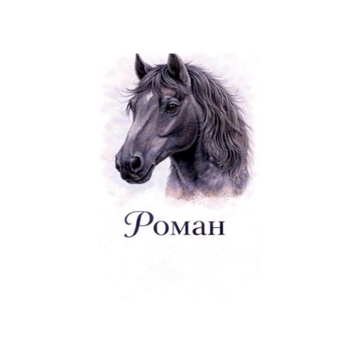 Конь Роман.jpg — Картинки для брелков / Разное, 2072×2072, обои скачать бесплатно