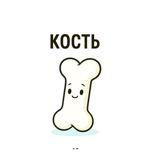 Кость.jpg — Картинки для брелков / Разное, 2072×2072, обои скачать бесплатно