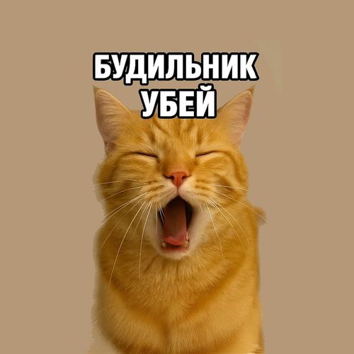 Кот Будильник.jpg — Картинки для брелков / Разное, 2072×2072, обои скачать бесплатно