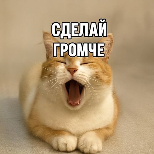 Кот Громче.jpg — Картинки для брелков / Разное, 2072×2072, обои скачать бесплатно