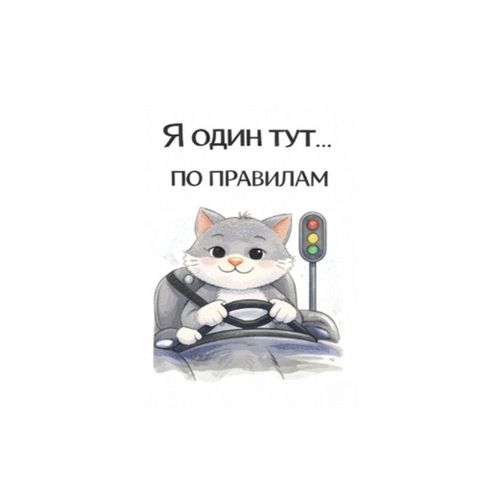 Кот За Рулем.jpg — Картинки для брелков / Разное, 2072×2072, обои скачать бесплатно