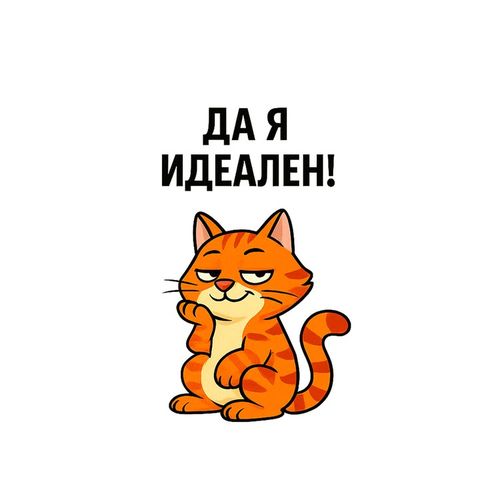 Кот Идеален 2.jpg — Картинки для брелков / Разное, 2072×2072, обои скачать бесплатно