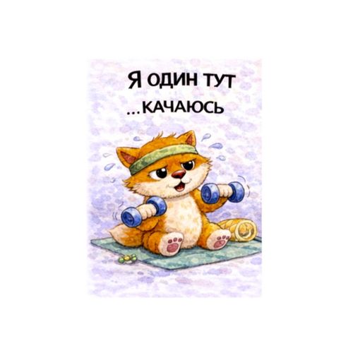 Кот Качаюсь.jpg — Картинки для брелков / Разное, 2072×2072, обои скачать бесплатно