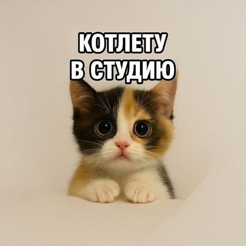 Кот Котлета.jpg — Картинки для брелков / Разное, 2072×2072, обои скачать бесплатно