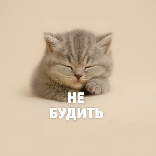 Кот Не Будить.jpg — Картинки для брелков / Разное, 2072×2072, обои скачать бесплатно
