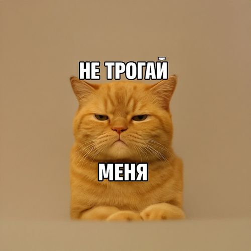 Кот Не Трогай.jpg — Картинки для брелков / Разное, 2072×2072, обои скачать бесплатно