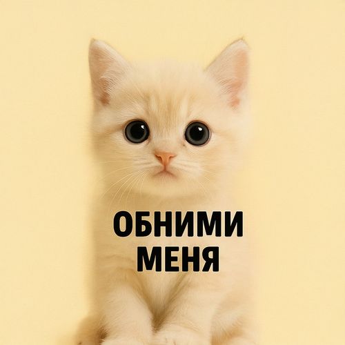 Кот Обними.jpg — Картинки для брелков / Разное, 2072×2072, обои скачать бесплатно