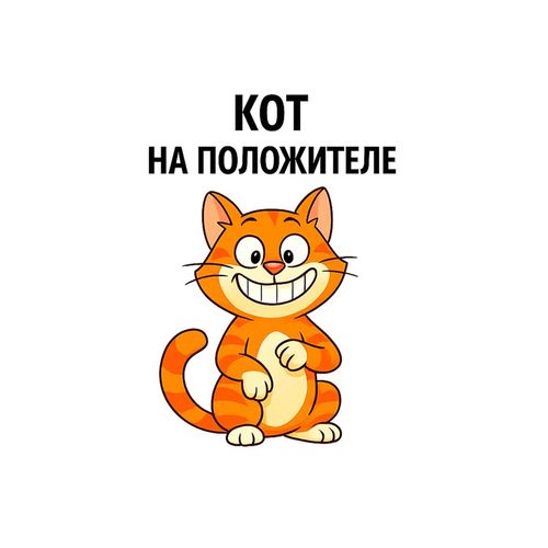 Кот Положитель 2.jpg — Картинки для брелков / Разное, 2072×2072, обои скачать бесплатно