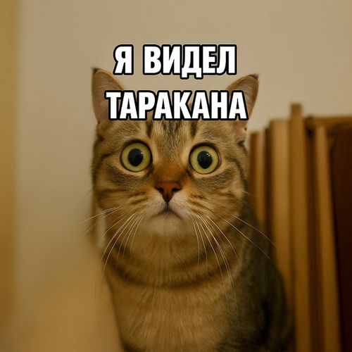 Кот Таракан.jpg — Картинки для брелков / Разное, 2072×2072, обои скачать бесплатно