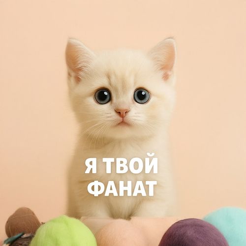 Кот Фанат.jpg — Картинки для брелков / Разное, 2072×2072, обои скачать бесплатно
