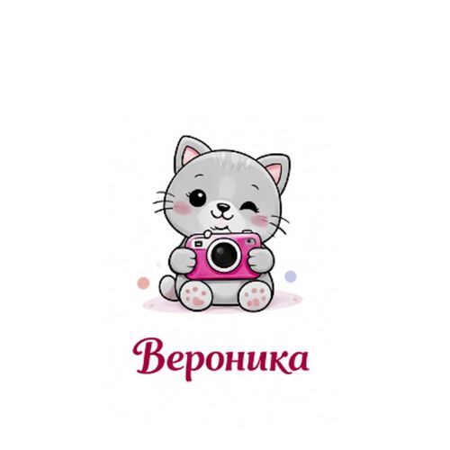 Кот Фотограф Вероника.jpg — Картинки для брелков / Разное, 2072×2072, обои скачать бесплатно