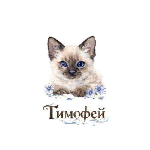 Котенок Тимофей.jpg — Картинки для брелков / Разное, 2072×2072, обои скачать бесплатно